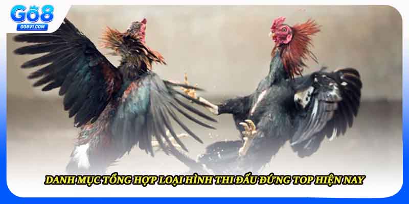 Danh mục tổng hợp loại hình thi đấu đứng top hiện nay